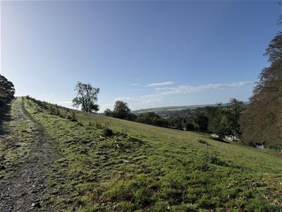 Picture 13